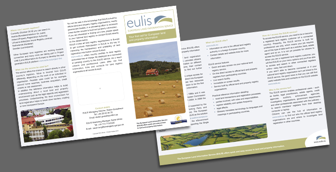 flyer design eulis